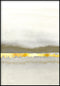 Creme Abstract Line Right Real Gold Poster 50x70cm